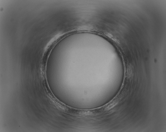 X0000066941454200603311405