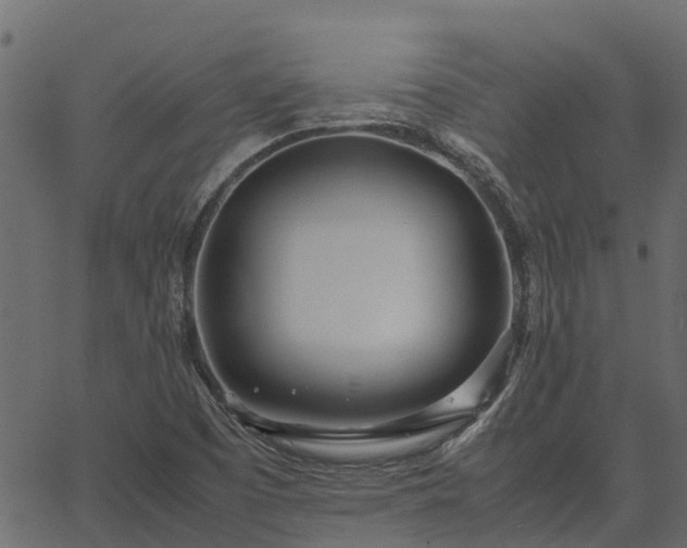 X0000066941457200603311405