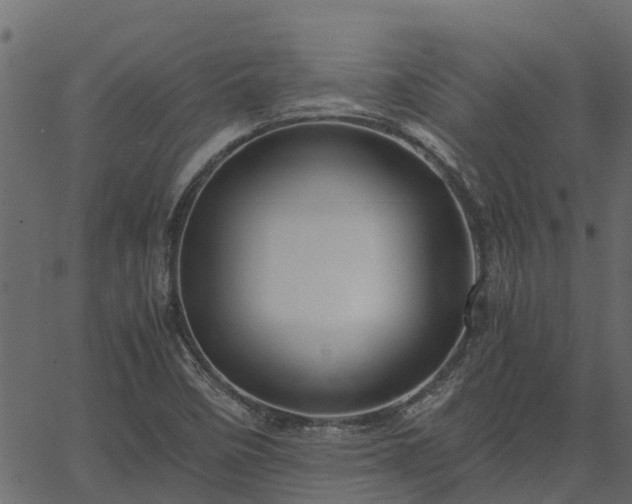 X0000066941458200603311405