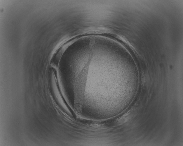 X0000066941459200603311405