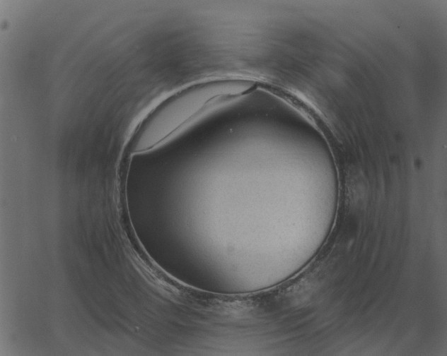 X0000066941460200603311405