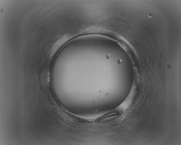 X0000066941461200603311405