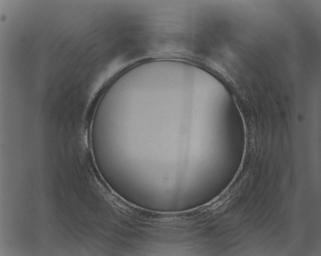 X0000066941462200603311405