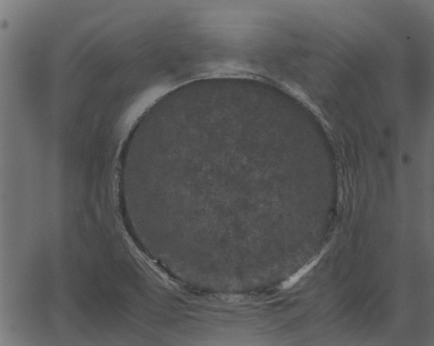 X0000066941463200603311405