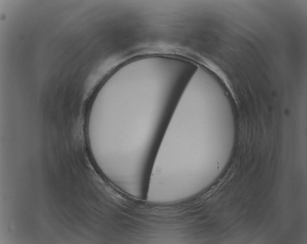 X0000066941464200603311405