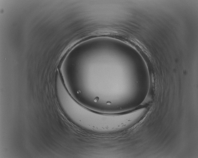 X0000066941465200603311405