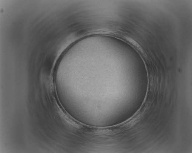 X0000066941466200603311405