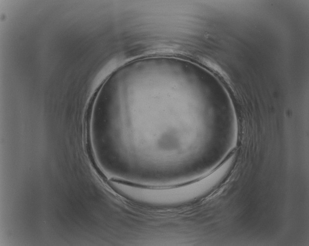 X0000066941467200603311405