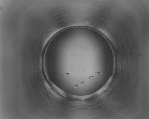 X0000066941468200603311405