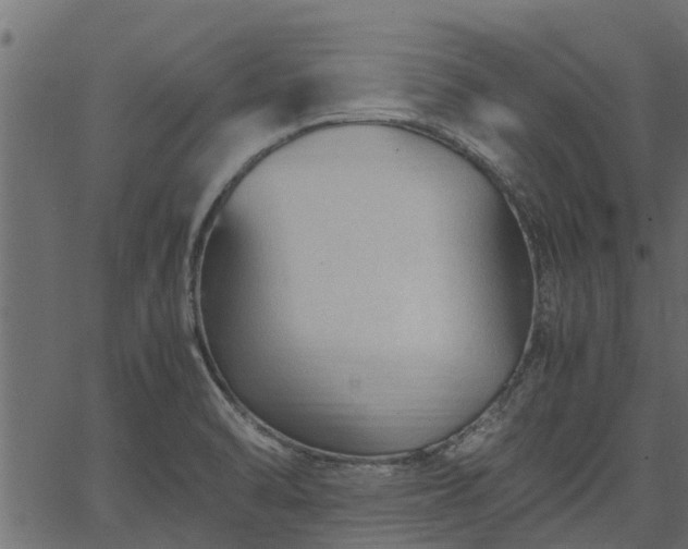 X0000066941470200603311405