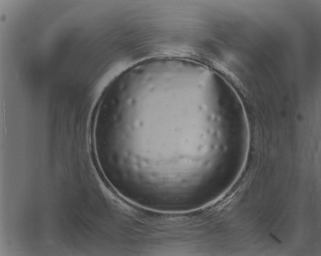 X0000066941471200603311405