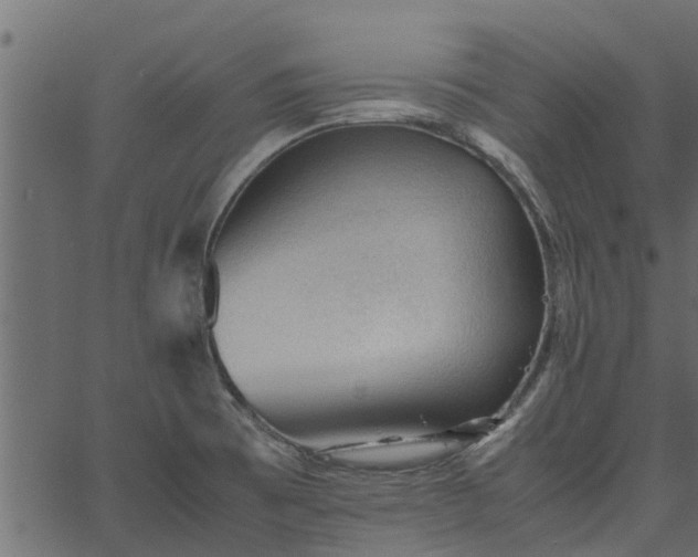 X0000066941473200603311405