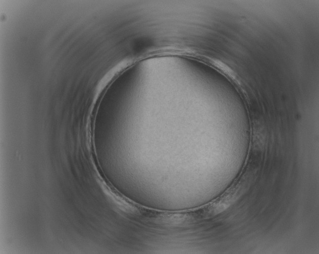 X0000066941474200603311405