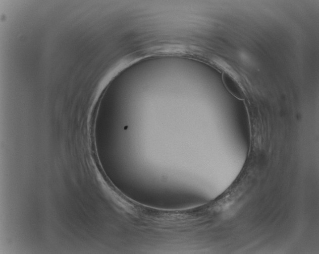 X0000066941475200603311405