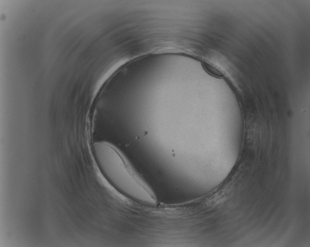 X0000066941476200603311405