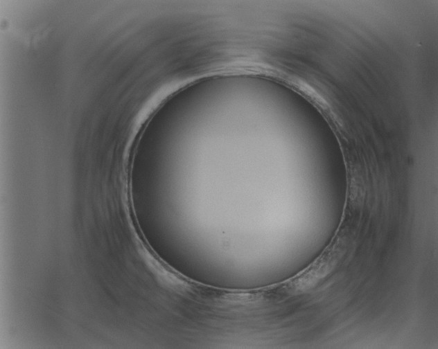 X0000066941478200603311404