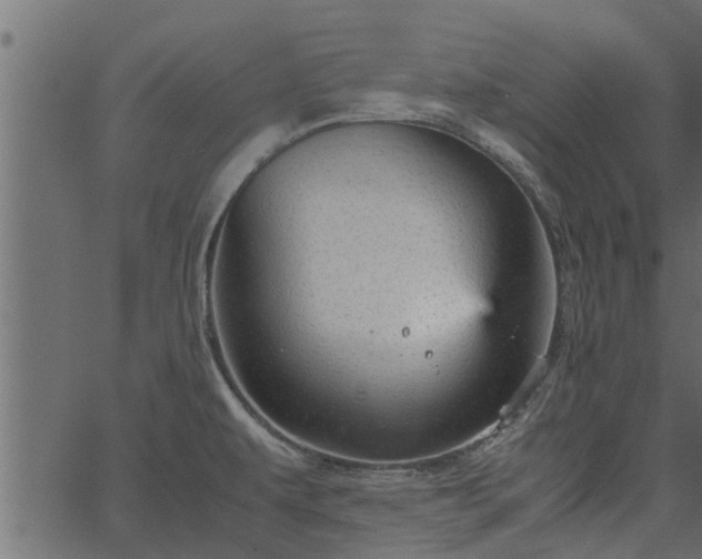 X0000066941479200603311404