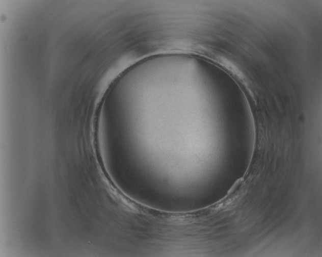 X0000066941480200603311404