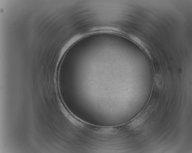 X0000066941482200603311404