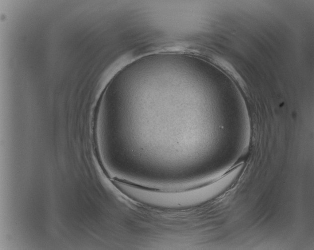 X0000066941483200603311404