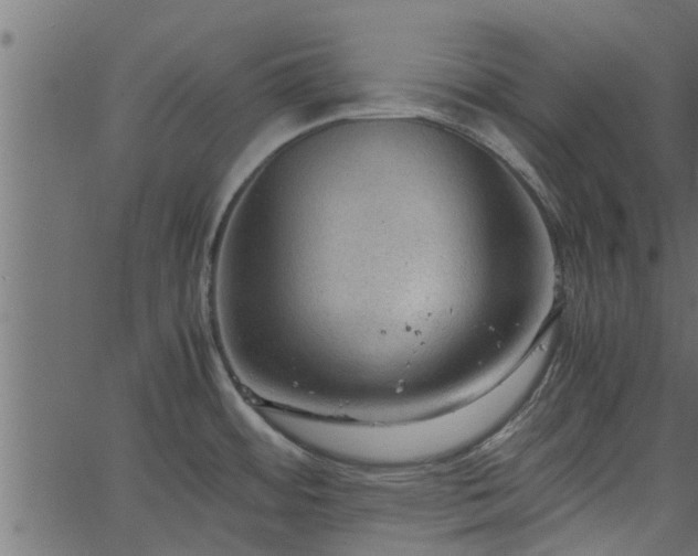 X0000066941484200603311404