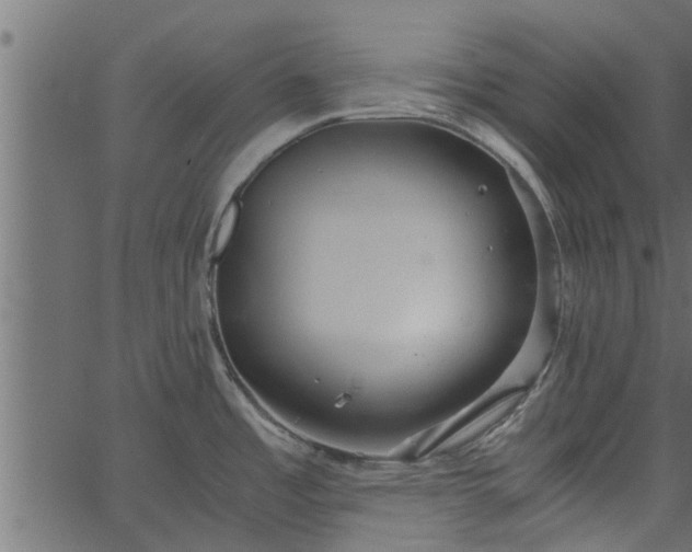 X0000066941485200603311404