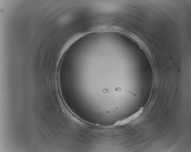 X0000066941486200603311404