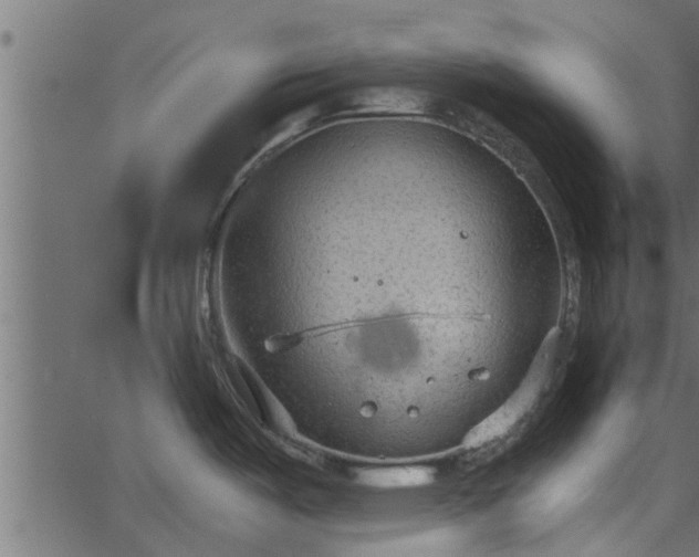 X0000066941487200603311404