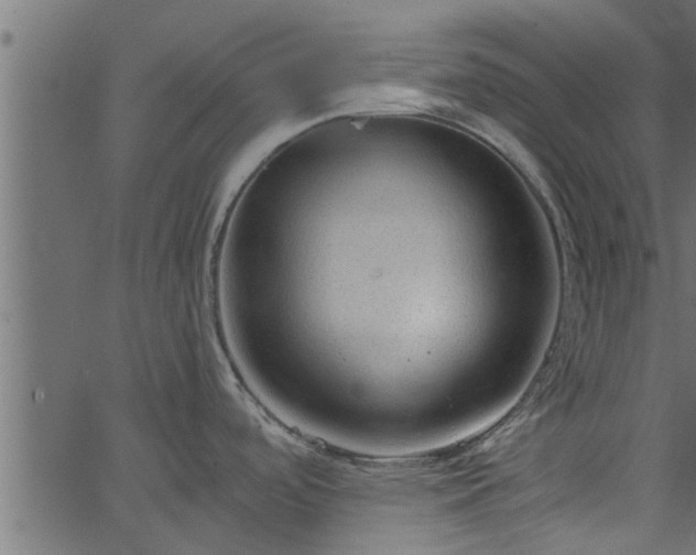 X0000066941488200603311404