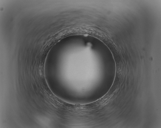 X0000066941490200603311404