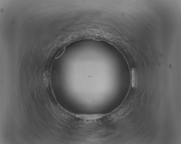 X0000066941491200603311404