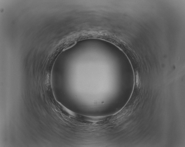 X0000066941492200603311404