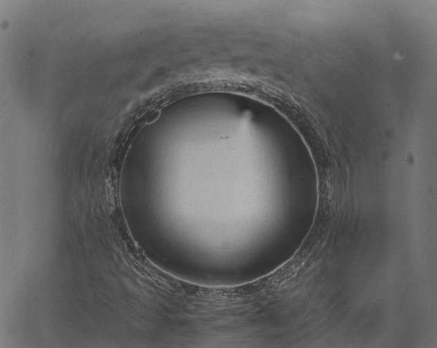 X0000066941493200603311404