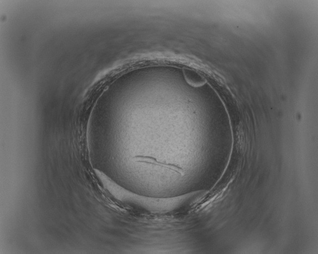 X0000066941494200603311404