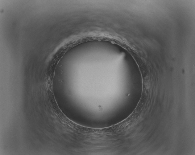 X0000066941495200603311404