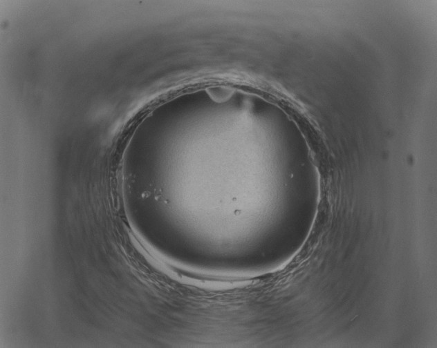 X0000066941496200603311404