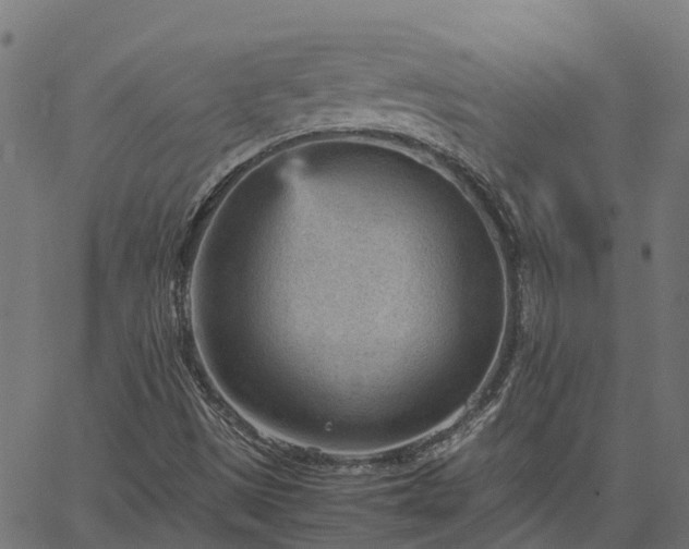 X0000066941497200603311404