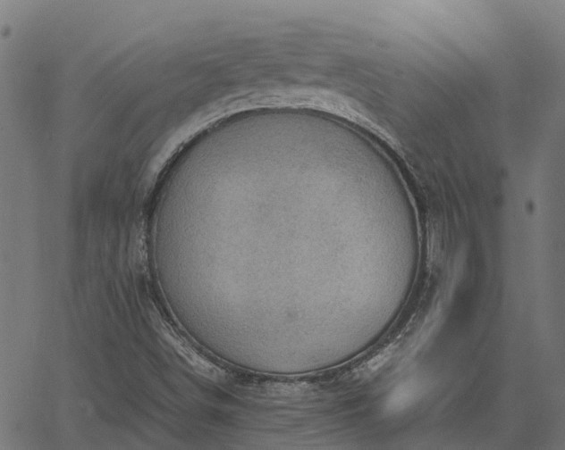 X0000066941498200603311404