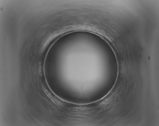 X0000066941499200603311404