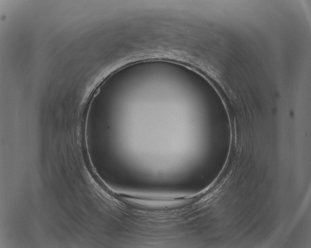 X0000066941500200603311404