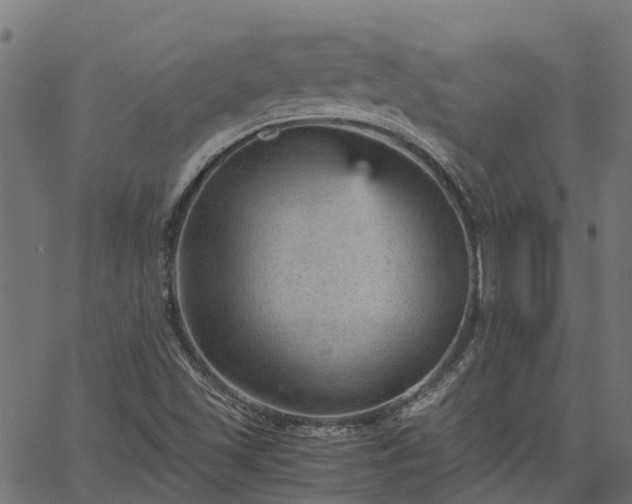 X0000066941501200603311404