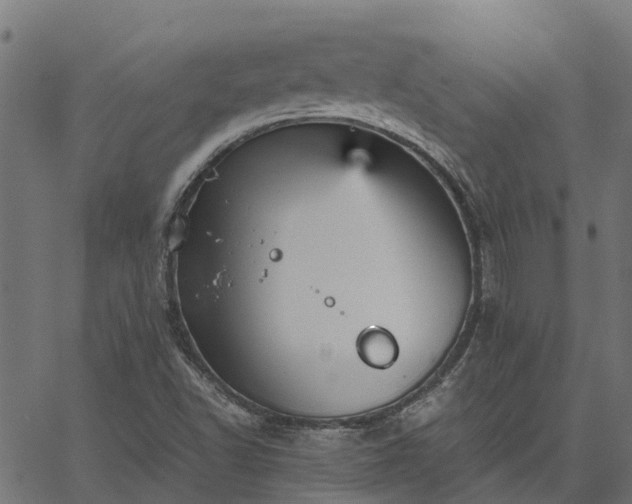 X0000066941502200603311404