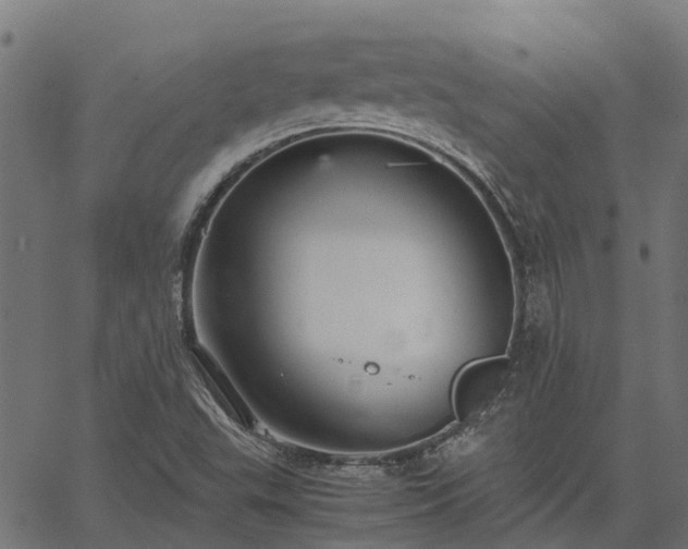 X0000066941503200603311404