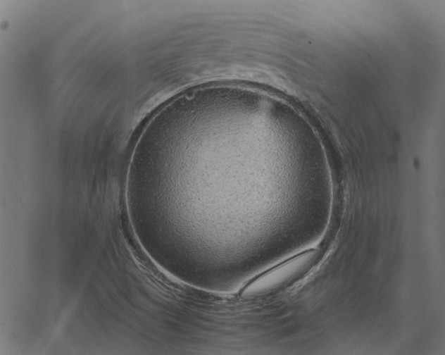 X0000066941505200603311404