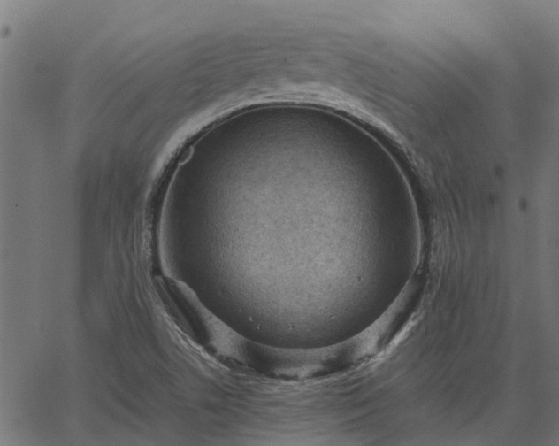 X0000066941506200603311404