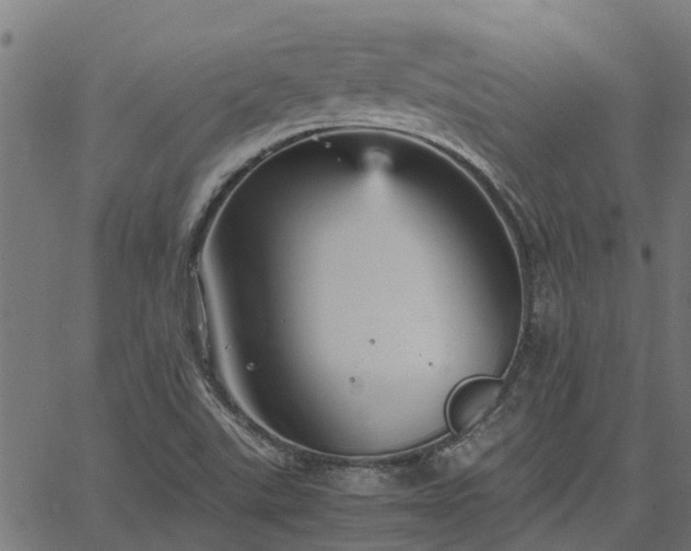 X0000066941507200603311404