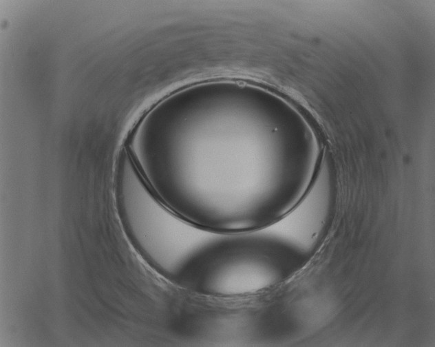 X0000066941508200603311404