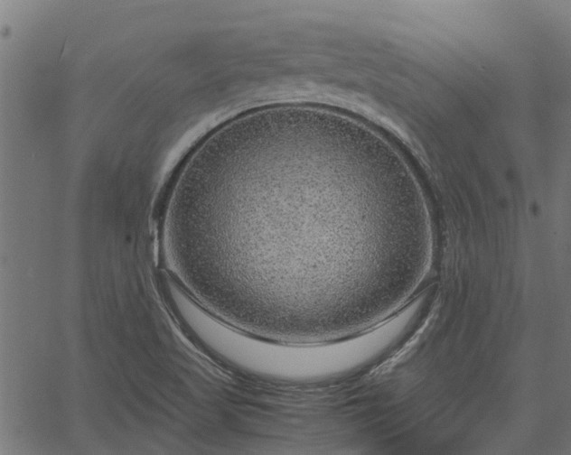 X0000066941509200603311404