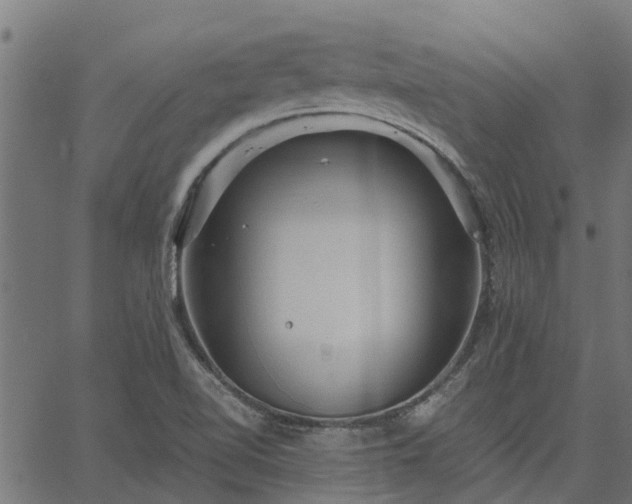 X0000066941510200603311404