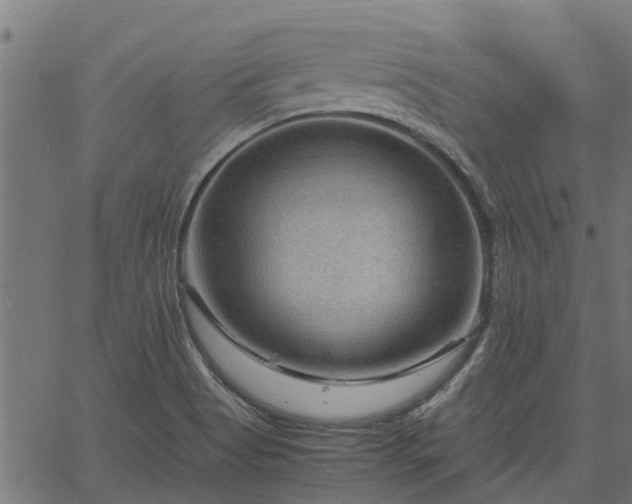 X0000066941513200603311404